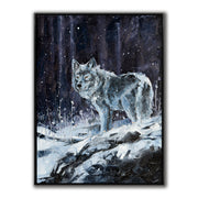 Nuit & neige