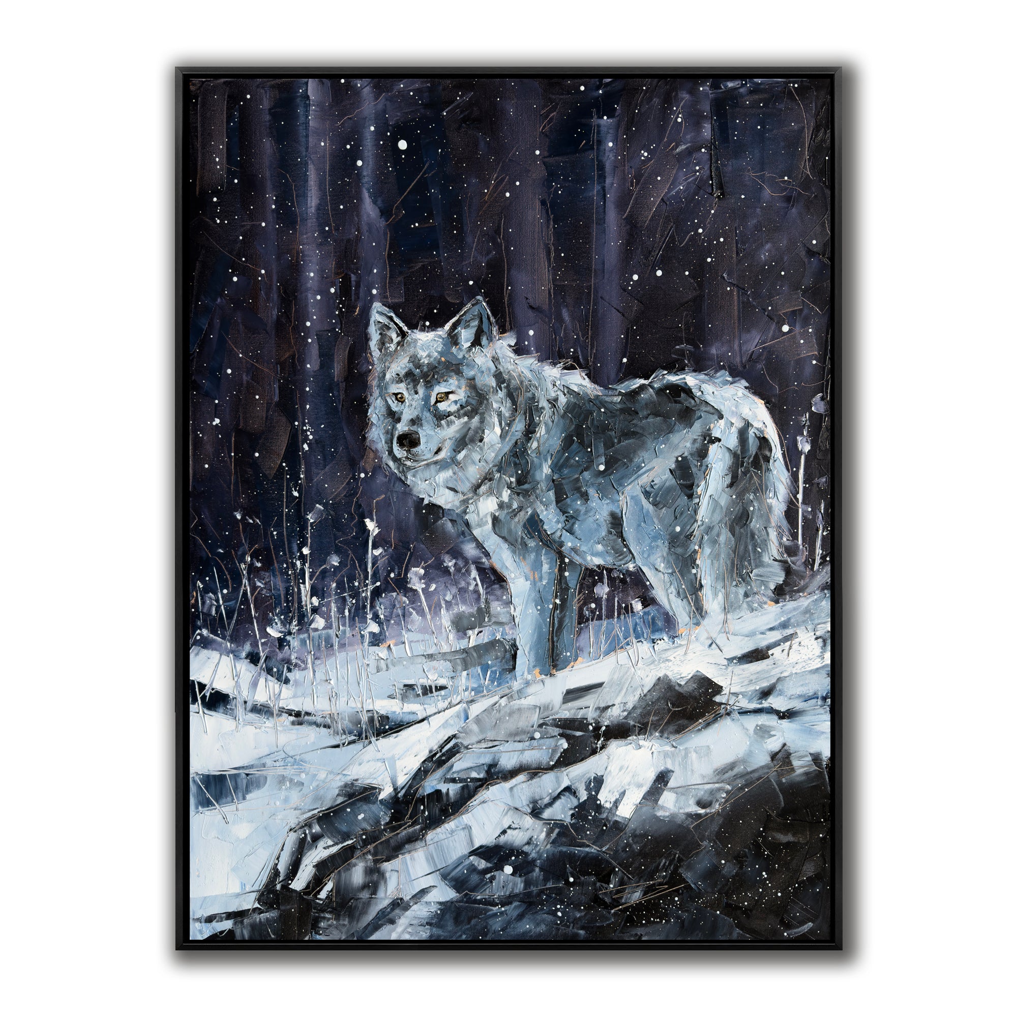 Nuit & neige